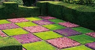 Checkerboard Yard Lwskiles Formal Garden Design Creeping Thyme Formal Garden