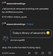 Lets get some Fs in the chat lads 😔 : rtumblr