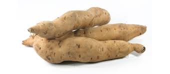 Tongan potato ~ roots crops of tonga tonga time. 10 Most Popular Oceanian Sweet Potatoes Tasteatlas