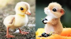 10 Best Pets For Kids Which You Can Consider Cute Baby Animals Baby Animal Videos Cute Funny Animals