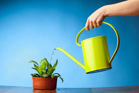 Maybe you would like to learn more about one of these? Calcaire Et Plantes Amis Ou Ennemis Je Traite Mon Eau