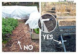 Place plants with like water needs together in the garden and plan to irrigate accordingly. Choosing The Best Irrigation System For A Vegetable Garden The Seasonal Homestead