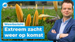 Weerbericht: de komende dagen zeer zacht! - YouTube