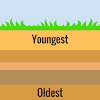 Radiometric dating (or radioactive dating) is any technique used to date organic and also inorganic materials from a process involving radioactive decay. 1