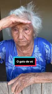 O gato de vó fazendo humor no mercado do vizinho