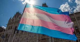 70+ vectors, stock photos & psd files. Hungary Rolls Back Legal Protections Puts Trans And Intersex People At Risk Ilga Europe