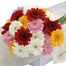 Our christmas flower range reflects these colour choices, with huge selection of traditional flowers for christmas to send in the merriest of colours: 21 Fresh Christmas Flowers To Uk Ideas Christmas Flowers Flowers For You Flowers