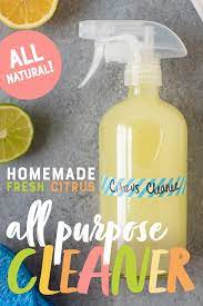 Homemade Citrus All Purpose Cleaner Recipe Homemade All Purpose Cleaner Homemade Cleaning Products Cleaning Hacks
