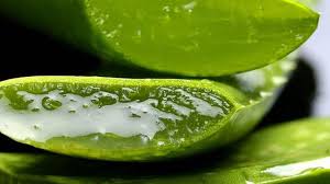 Obat sipilis di apotik de nature bagaimana cara pengorderan obat. Cara Menghilangkan Kutil Di Wajah Dengan Bahan Alami Hot Liputan6 Com