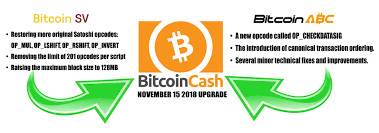What is a fork in bitcoin? Preparing For The Looming Bitcoin Cash Fork Bitcoin News