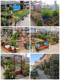Lots Of Color Ready For A Great Weekend Tanaman Desain Hiasan