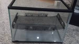 Diy Tank Divider Horizontal For Breeding Guppies In A 14 Litre Tank Diy Tank Betta Fish Tank Fish Tank
