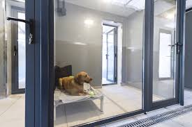 I'd recommend syd cat and boarding to anyone, it really is the best and i can't thank lee enough. Rooms Canine Clubhouse Luxury Dog Boarding Kennels