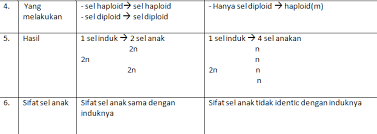 Namun begitu fungsi pembelahan sel pada. Contoh Soal Essay Biologi Kelas Xii Semester 1 Beserta Jawaban Part 4 Kumpulan Soal Materi Sekolah