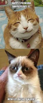 35 hilarious work anniversary memes to celebrate your. Happy 5th Work Anniversary Yi Now Get Back To Work Grumpy Cat Vs Happy Cat Make A Meme