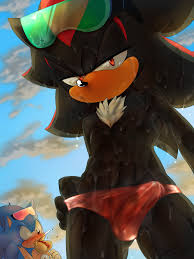 Hot shadow the hedgehog