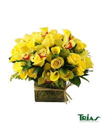Maybe you would like to learn more about one of these? Amalfi By Trias Flowers Events