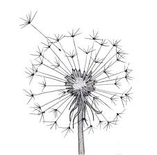 Drawing a daisy is easy and similar to drawing a rose. 42 Simple And Easy Flower Drawings For Beginners Cartoon District Cute Flower Drawing Simple Flower Drawing Flower Sketches
