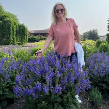 Image result for Salvia