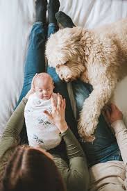 как ухаживать за новорожденной девочкой в первые месяцы жизни In Home Newborn Session Lifestyle Newborn Session Dog And Baby Seattle Tacoma Lifestyle In 2020 Newborn Lifestyle Session Newborn Baby Photography Lifestyle Newborn