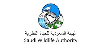 دارة الملك عبدالعزيز تصدر كتابًا للشيخ الفياض عن الحياة العلمية والثقافية بالمملكة. Ø§Ù„Ø­ÙŠØ§Ø© Ø§Ù„ÙØ·Ø±ÙŠØ© ØªÙ‚Ø¨Ù„ Ù¥Ù  Ù…ØªÙ‚Ø¯Ù… Ø§ Ø¹Ù„Ù‰ ÙˆØ¸Ø§Ø¦Ù Ø§Ù„Ù…Ø­Ù…ÙŠØ§Øª