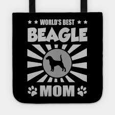Beagle Moma