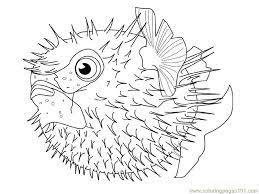 This fish has the ability to change direction when swimming and even swim backwards. New Fishes Coloring Page For Kids Free Pufferfish Printable Coloring Pages Online For Kids Coloringpages101 Com Coloring Pages For Kids