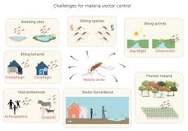 Tropicalmed Free Full Text Vector Focused Approaches To Curb Malaria Transmission In The Brazilian Amazon An Overview Of Current And Future Challenges And Strategies Html