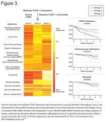 Image result for COPD Exacerbation Prevention