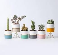 Succulent plantenpotten - Groothandel bloempotten ...