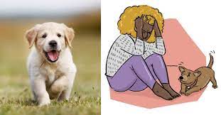 Puppy Blues What To Do When You Regret Bringing Home Your New Furry Friend Littlethings Com