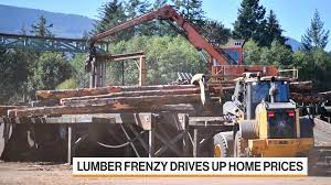 Maybe you would like to learn more about one of these? Sky High Lumber Prices To Drop By Year End Analyst Says Bloomberg