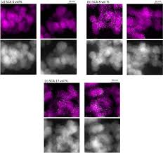 Visualization Of Chemical Bonding In A Silica Filled Rubber Nanocomposite Using Stem Eels Scientific Reports