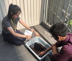 Definition of cactus in the idioms dictionary. Cactus Plants Fertile Ly Global Social Leaders