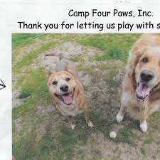 267 customer reviews of four paws pet resort. Camp Four Paws 21 Photos 47 Reviews Pet Training 1211 Curry Canyon Rd Clayton Ca Phone Number