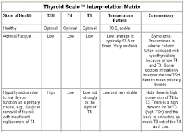 Thyroid Scale Overview Thyroid Treatment Optimal Thyroid