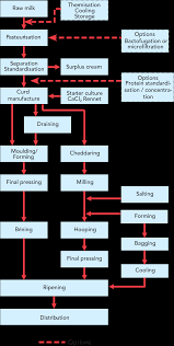 Cheese Dairy Processing Handbook