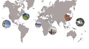 Embarquen para un crucero fiordos y escandinavia : Una Vuelta Al Mundo Con Costa Cruceros Y Viajes El Corte Ingles Revista Viajeros