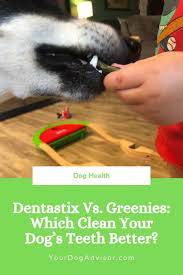We asked the real experts. Dentastix Vs Greenies Which Clean Your Dog S Teeth Better Your Dog Advisor