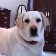 Earl Killian (@earlkillian)