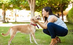 Recomendaciones sobre los libros de psicología más importantes tanto para profesionales como estudiantes y amantes de este campo científico. Curso Online De Psicologia Animal Aprendum