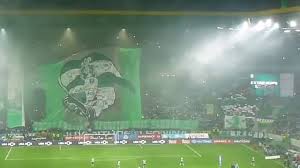 Página de apoio à juventude leonina e ao sporting! Sporting Clube De Portugal Who Are Ya