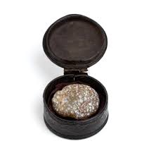 Image result for Bezoar