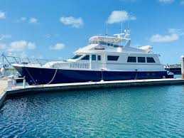 Image result for Azure Blue 1994 Reliant