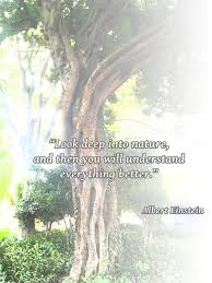 tumblr_mdlzvkTMiI1ryj71no1_500.jpg via Relatably.com