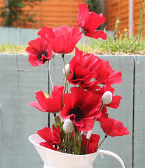 Free shipping on orders over $25 shipped by amazon. 62 Cm Artificial Silk Flame Red Poppy Flower Stem Decorative Red Poppies Ebay
