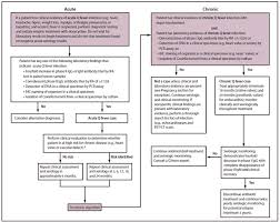 Endocarditis should be suspected in patients with unexplained fevers, night sweats, or signs of systemic illness. Diagnosis And Management Of Q Fever United States 2013