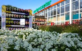 Gemeinsam wachsen und herausforderungen meistern: Hagebaumarkt Itzehoe