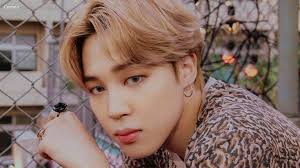 Diep Hoang (hoangkimdiep8530)