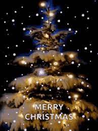 Christmas lights deck your halls with strings of lights and make your home shine bright this festive season. Christmas Lights Gifs Tenor